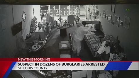 Suspect in dozens of burglaries arrested